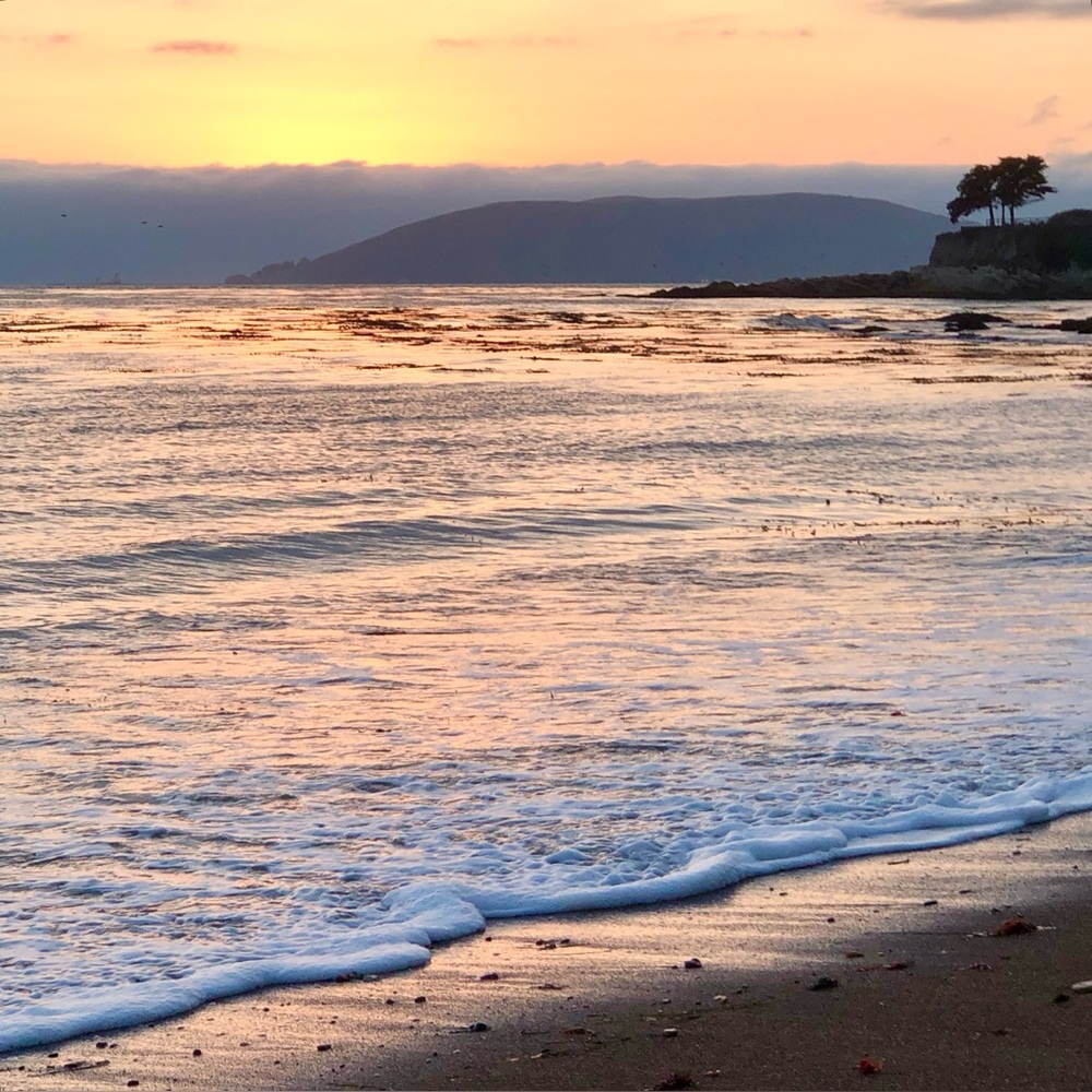 Meet your Posher, Opalriver